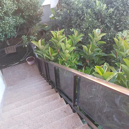 Casa Bembrive Planta 1