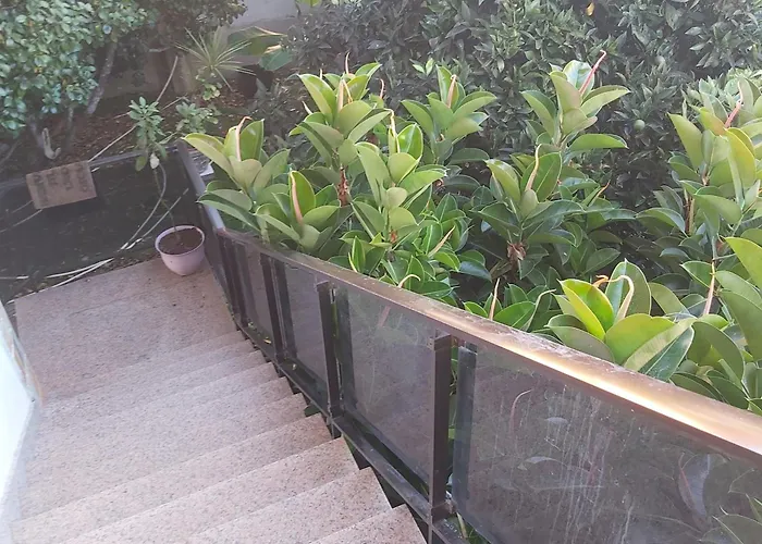 Casa Bembrive Planta 1